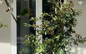 Two On Milner - Arum Cottage - Stylish Open-Plan Guesthouse In Rondebosch